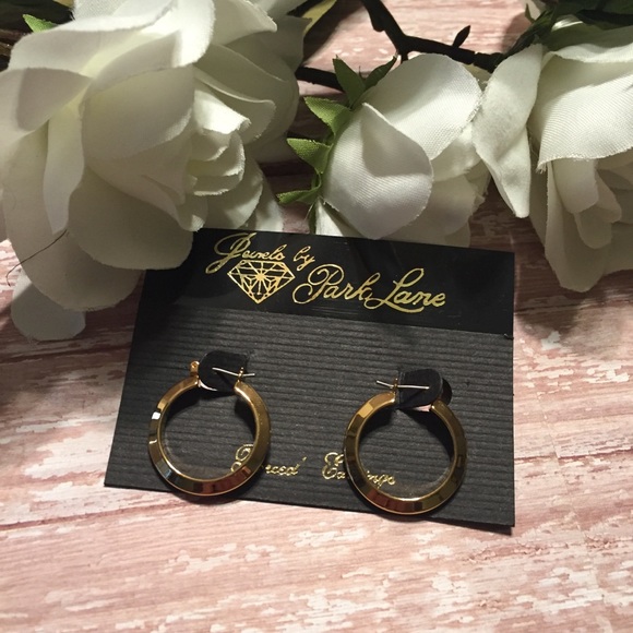 Park Lane Jewelry - •NEW• Park Lane Earrings